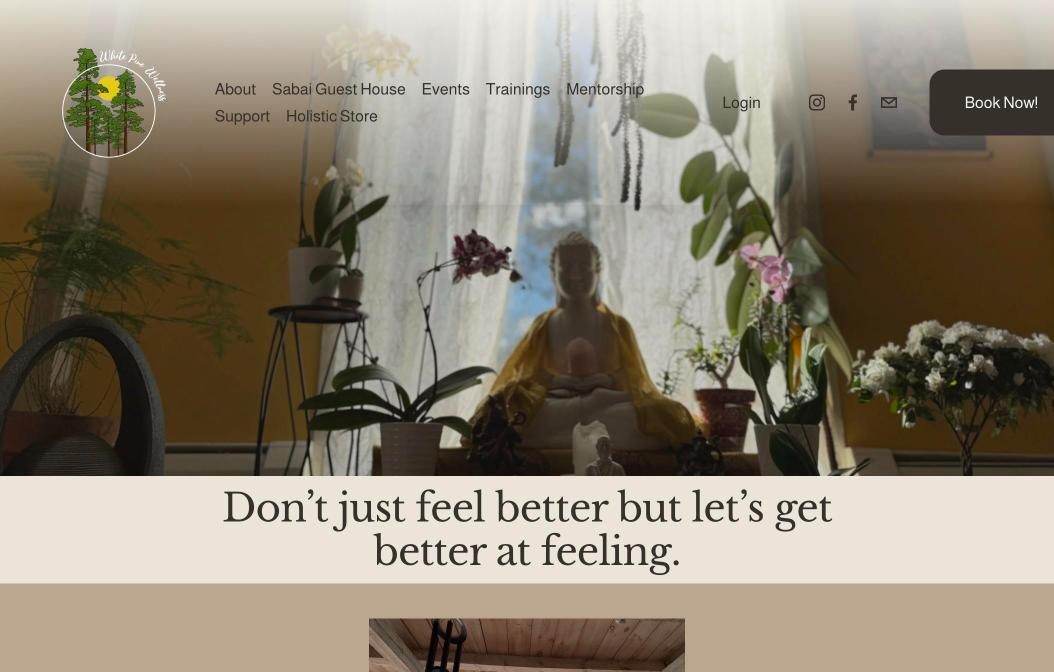 White Pine Wellness website on desktop, designed by Little Lion Creative